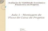 Avaliação da Viabilidade Econômico- Financeira em Projetos Elias Pereira Aula 1 - Montagem de Fluxo de Caixa de Projetos.