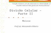 Divisão Celular – Parte II Meiose Prof (a): Alexsandra Ribeiro A lição número um da natureza é a diversidade. O mundo natural não gosta de monoculturas.