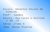 Escola: Adventor Divino de Almeida Profª: Sandra Alunos: Ana Carla e Willian n ° :05,37 Série: 2°ano A Tema: Reino Plantae.
