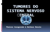 Thaíssa Casagrande & Matheus Merula. Epidemiologia Tumores do SNC correspondem a 20% dos cânceres na infância e 70% destes surgem na fossa posterior;