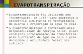 EVAPOTRANSPIRAÇÃO Evapotranspiração foi utilizado por Thornthwaite, em 1944, para expressar a ocorrência simultânea da transpiração da planta e evaporação.