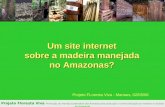Um site internet sobre a madeira manejada no Amazonas? Projeto Floresta Viva Promoção do manejo sustentável das florestas pela produção e comercialização.