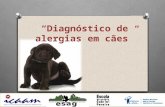 Diagnóstico de alergias em cães. O que são alergias Alergia ou reação de hipersensibilidade é uma resposta imunológica exagerada, que se desenvolve após.