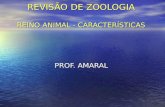 REVISÃO DE ZOOLOGIA REINO ANIMAL - CARACTERÍSTICAS PROF. AMARAL.