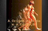 A Origem da Vida e a Evolução Professora Ana Carolina.