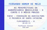 AS PERSPECTIVAS DA AGROPECUÁRIA BRASILEIRA : O CURTO E O MÉDIO PRAZOS FERNANDO HOMEM DE MELO 1/31 FAESC – FEDERAÇÃO DA AGRICULTURA E PECUÁRIA DE SANTA.