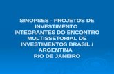 SINOPSES - PROJETOS DE INVESTIMENTO INTEGRANTES DO ENCONTRO MULTISSETORIAL DE INVESTIMENTOS BRASIL / ARGENTINA RIO DE JANEIRO SINOPSES - PROJETOS DE INVESTIMENTO.