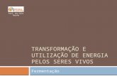 TRANSFORMAÇÃO E UTILIZAÇÃO DE ENERGIA PELOS SERES VIVOS Fermentação Prof. Ana Rita Rainho.