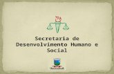 Secretaria de Desenvolvimento Humano e Social. SERVIÇOS PRESTADOS: ATENDIMENTO SOCIAL/VISITA DOMICILIAR - 365 ATENDIMENTO PSICOLÓGICO - 478 ATENDIMENTO.