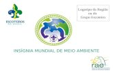 INSÍGNIA MUNDIAL DE MEIO AMBIENTE Logotipo da Região ou do Grupo Escoteiro.