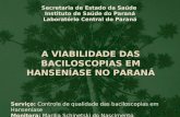 Secretaria de Estado da Saúde Instituto de Saúde do Paraná Laboratório Central do Paraná Serviço: Controle de qualidade das baciloscopias em Hanseníase.