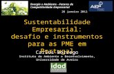 Sustentabilidade Empresarial: desafio e instrumentos para as PME em Portugal Carlos Borrego Instituto do Ambiente e Desenvolvimento, Universidade de Aveiro.