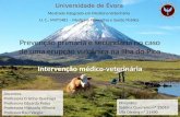 Prevenção primária e secundária no caso de uma erupção vulcânica na Ilha do Pico Intervenção médico-veterinária Universidade de Évora Mestrado integrado.