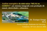 Análise emergética da mini-usina MUAI ou GERIPA: um sistema integrado com produção de etanol, eletricidade e alimentos. Dr. Enrique Ortega FEA Forum Energia-Ambiente.