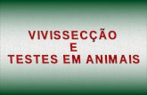 VIVISSECÇÃO Dissecação de animais VIVOS para estudos. TESTES EM ANIMAIS Expõem animais a substâncias químicas, geralmente sem anestésicos, podendo ou.