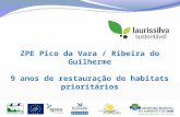 ZPE Pico da Vara / Ribeira do Guilherme 9 anos de restauração de habitats prioritários.