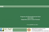 23 de JANEIRO de 2013 Programa de Desenvolvimento Rural 2014-2020 Diagnóstico para o sector florestal.