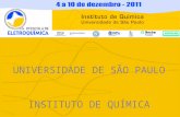 UNIVERSIDADE DE SÃO PAULO INSTITUTO DE QUÍMICA. HISTÓRIA A escola de eletroquímica foi uma idéia que começou a ser elaborada durante o XV SIBEE em Londrina.