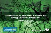 Estatísticas de Acidentes no Setor de Energia Elétrica Brasileiro Relatório Anual 2003.