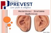 Acústica: Sistema Auditivo Prof. Sílvio. O ouvido humano pode ser separado em três grandes partes, de acordo com a função desempenhada e a localização.