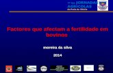 Factores que afectam a fertilidade em bovinos moreira da silva 2014 7ª Ed. JORNADAS AGRÍCOLAS da Praia da Vitória.