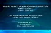 CENTRO FEDERAL DE EDUCAÇÃO TECNOLÓGICA DO ESPÍRITO SANTO UNED – COLATINA DISCIPLINA: Multimídia e Interatividade PROFESSOR: Renato Cabelino COMPONENTES: