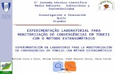 EXPERIMENTAÇÃO LABORATORlAL PARA MONITORIZAÇÃO DE CONVERGÊNCIAS EM TÚNEIS COM O MÉTODO EXTENSOMÉTRICO 3ª Jornada técnico-científica Medio Ambiente Subterráneo.