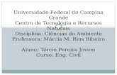 Universidade Federal de Campina Grande Centro de Tecnologia e Recursos Naturais Disciplina: Ciências do Ambiente Professora: Márcia M. Rios Ribeiro Aluno: