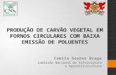 PRODUÇÃO DE CARVÃO VEGETAL EM FORNOS CIRCULARES COM BAIXA EMISSÃO DE POLUENTES Camila Soares Braga Comissão Nacional de Silvicultura e Agrossilvicultura.