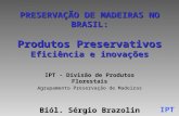IPT PRESERVAÇÃO DE MADEIRAS NO BRASIL: Produtos Preservativos Eficiência e inovações IPT - Divisão de Produtos Florestais Agrupamento Preservação de Madeiras.