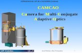 JORNADAS do LIP 20 e 21/12/2003 (Lisboa) José Pinhão e Rui Fernandes 1 CAMCAO Camera for Multi-Conjugate Adaptive Optics.