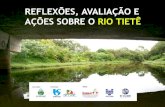 Diretrizes para a formulação do protocolo em defesa da recuperação da qualidade socioambiental da Bacia Hidrográfica do Alto Tietê - Cabeceiras.