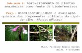 Sub-rede 6: Aproveitamento de plantas amazônicas como fonte de biodefensivos Proj.: Biodisponibilidade e avaliação química dos componentes voláteis do.