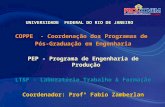 COPPE - Coordenação dos Programas de Pós-Graduação em Engenharia PEP - Programa de Engenharia de Produção LT&F - Laboratório Trabalho & Formação Coordenador: