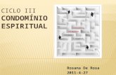 Rosana De Rosa 2011-4-27. A expressao Condomínio Espiritual tem sido utilizada dentro do Espiritismo por diversos autores, e que a ciência oficial diagnostica.
