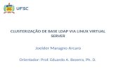 CLUSTERIZAÇÃO DE BASE LDAP VIA LINUX VIRTUAL SERVER Joelder Maragno Arcaro Orientador: Prof. Eduardo A. Bezerra, Ph. D.