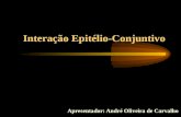 Interação Epitélio-Conjuntivo Apresentador: André Oliveira de Carvalho.