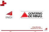 Agência de Promoção de Investimentos de Minas Gerais!