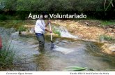 Água e Voluntariado Concurso Água Jovem Escola EBI/JI José Carlos da Maia.