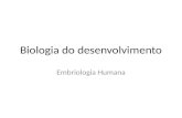 Biologia do desenvolvimento Embriologia Humana. video.