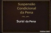 Vinícius Coltri Suspensão Condicional da Pena Sursi da Pena.