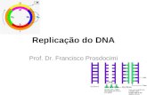 Replicação do DNA Prof. Dr. Francisco Prosdocimi.