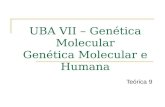 UBA VII – Genética Molecular Genética Molecular e Humana Teórica 9.