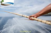 Secretaria Regional dos Recursos Naturais Direção Regional das Pescas O PROCONVERGÊNCIA e o MAR.