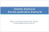 Prof. Luiz Paulo Viveiros de Castro luizpaulo@viveiros.adv.br Direito Eleitoral Escola Judiciária Eleitoral.