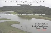 Gestão de bacias hidrográficas para mitigação de desastres naturais Exemplo do sistema hidrológico do rio Araranguá Éverton Blainski Dr. Eng° Agrônomo.