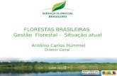 - 1 - FLORESTAS BRASILEIRAS Gestão Florestal - Situação atual Antônio Carlos Hummel Diretor Geral Julho, 2010.