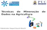 Técnicas de Mineração de Dados na Agricultura Palestrante: Raquel Stucchi Boschi.