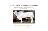 Joaquim Pereira Borges Modernas Tecnologias e Manutenção de Alimentos de Origem Animal TECNOLOGIA DE CORTES BOVINOS.