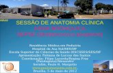 Residência Médica em Pediatria Hospital da Asa Sul/SES/DF Escola Superior de Ciências da Saúde (ESCSSES/SES/DF Apresentação: Fabiana de Luccas dos Santos.